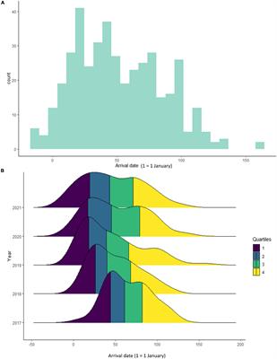 Variability in Arrival Time of White Storks (Ciconia ciconia L.): Impact of Age, Interindividual Variation, and Global Change